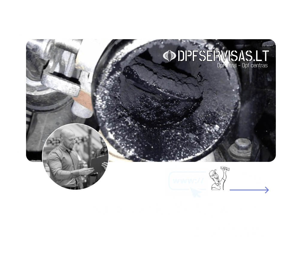 egr voztuvo isprogramavimas kaune vilniuje klaipedoje